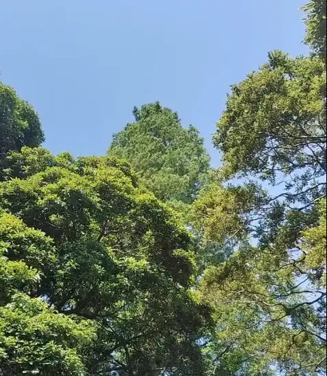 インスタグラム投稿